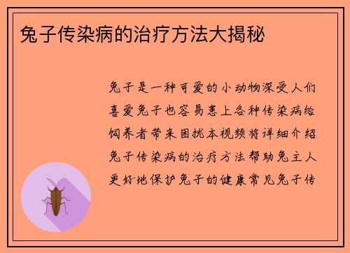 兔子传染病的治疗方法大揭秘